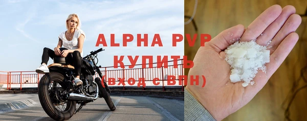 стаф Абинск