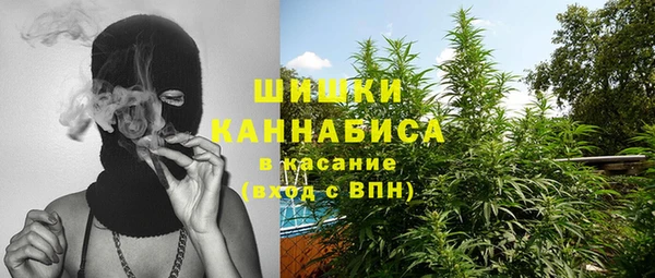 стаф Абинск