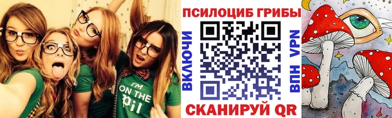 Галлюциногенные грибы Psilocybe  Шадринск 