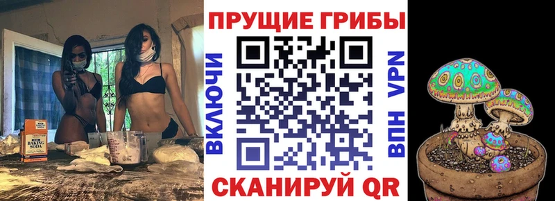 Псилоцибиновые грибы Psilocybine cubensis Шадринск