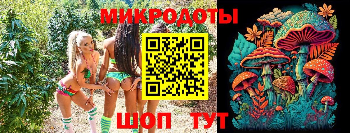 Псилоцибиновые грибы Cubensis Шадринск