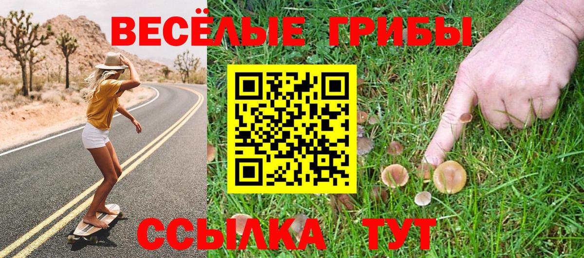Шадринск  Псилоцибиновые грибы мухоморы  Вход с VPN 